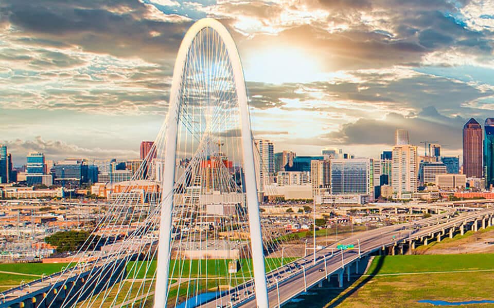 Festival Turf Dallas