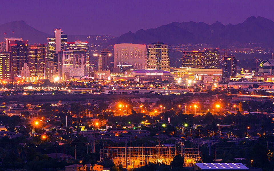 Festival Turf Phoenix